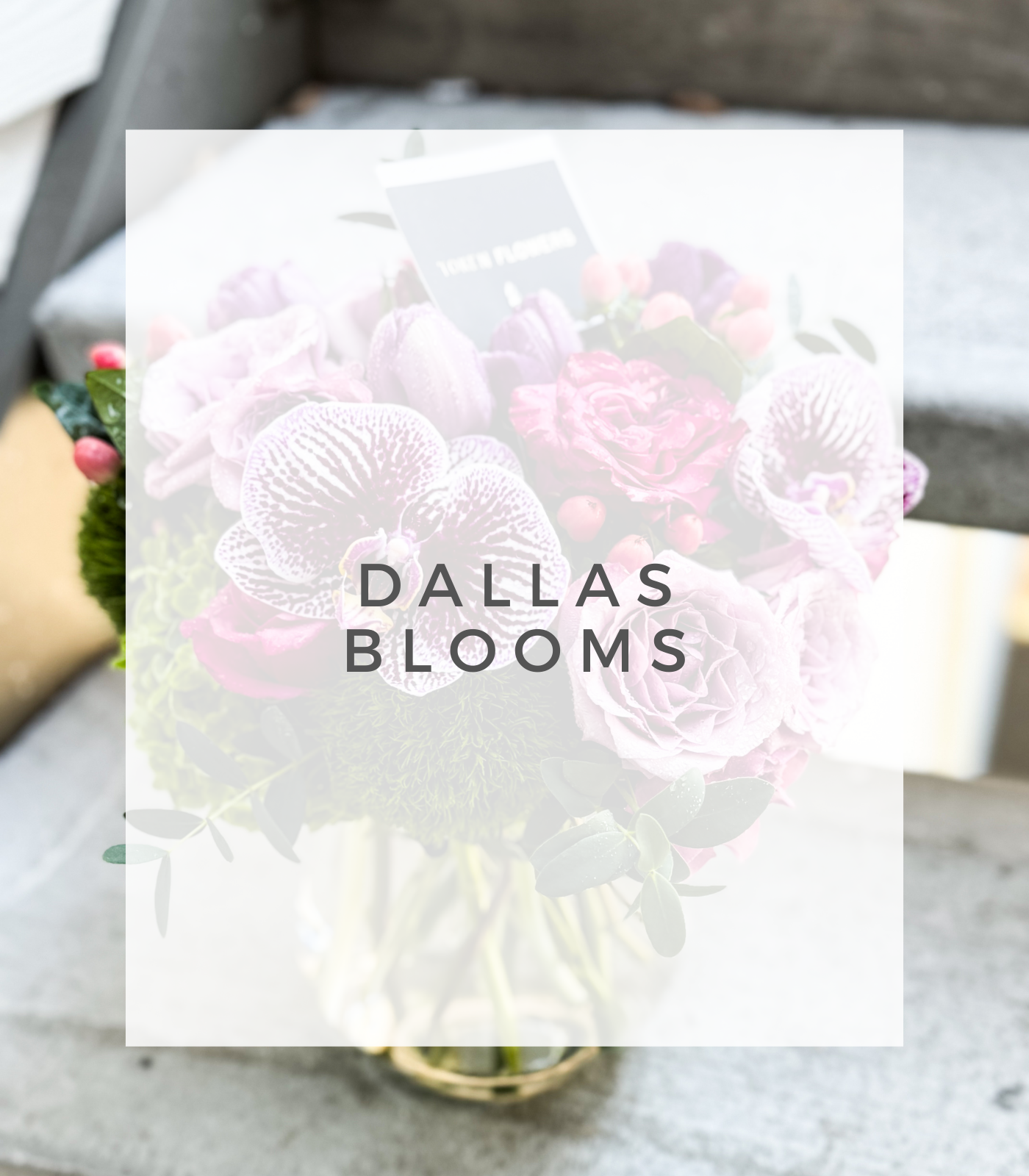 DALLAS BLOOMS